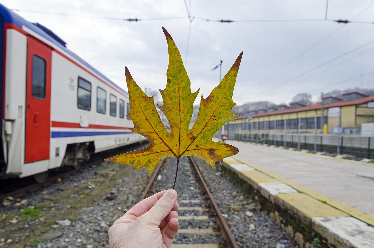 贵州安顺自学考试网，助力自学成才的桥梁